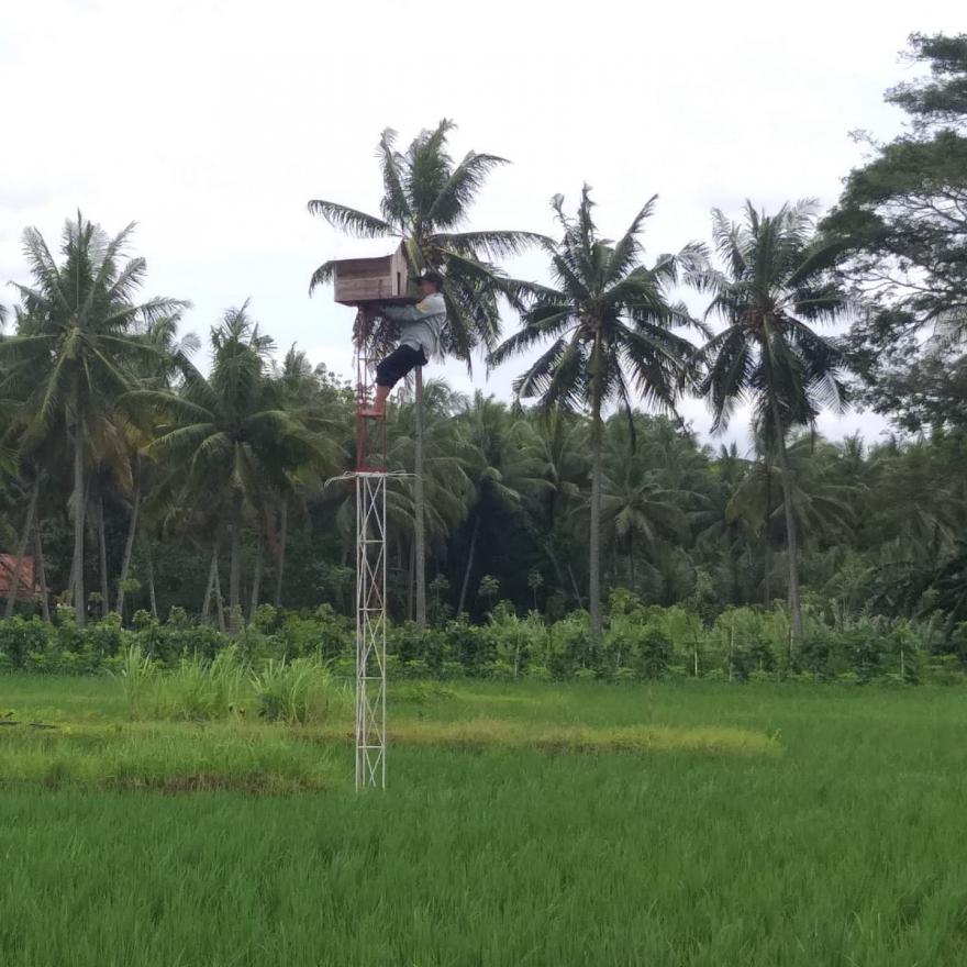 Monev Bantuan Rubuha Di Bulak Sawah Ngulakan